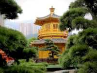 เดินชมสวนหนานเหลียนฮ่องกง 