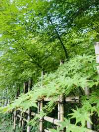 【京都】ウェスティン都ホテル　The Westin Miyako Kyoto