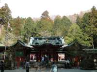 📍箱根神社 · 森林中的靜謐力量