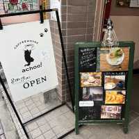 【東京/阿佐谷🇯🇵】温かいカフェ☕🐱 COFFEE&BAKE achoo!