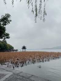ทะเลสาบซีหู (West Lake) เดือนธันวาคม