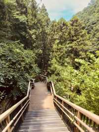🌿 Solo Adventure: Shasui Falls – Tokyo’s Secret Waterfall Escape