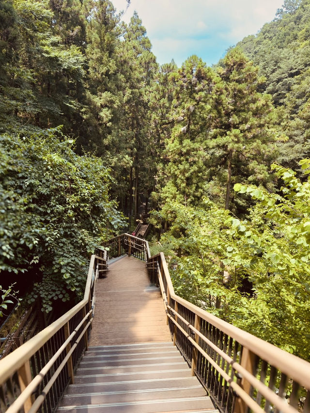 🌿 Solo Adventure: Shasui Falls – Tokyo’s Secret Waterfall Escape