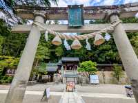 高山 | 櫻山八幡宮，巨大鳥居與古老的神社