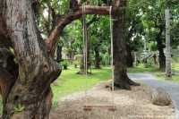 สวนช้างทองเฮอริเทจ สวนไม้โยราณเชียงใหม่