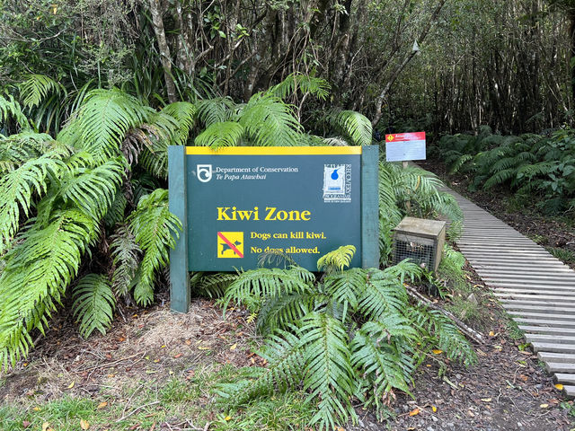 🏔 New Plymouth 小富士山步道｜用雙腳收藏 Taranaki 的浪漫角度