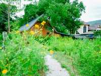 The Hidden Falls ในสวนลับ