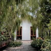 Tavy’s Home – ที่พักอบอุ่นเหมือนบ้านจริง ๆ 