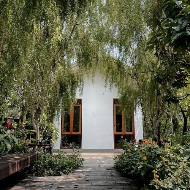 Tavy’s Home – ที่พักอบอุ่นเหมือนบ้านจริง ๆ 