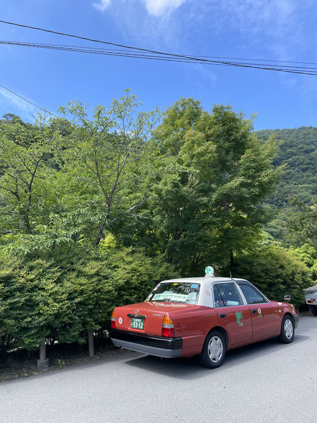 교토 당일치기 알짜배기 여행코스 🇯🇵🚌