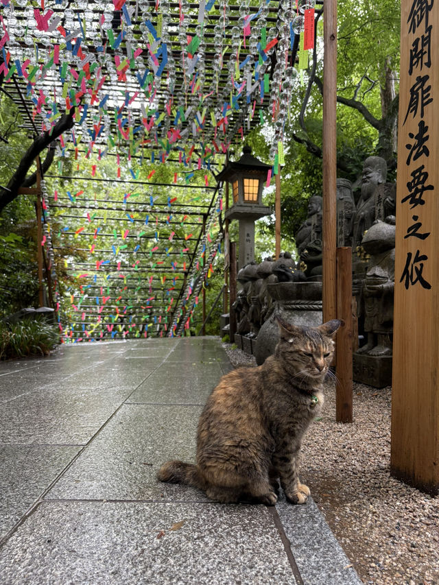 福岡旅行　一人旅