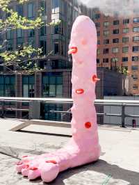 Elevated Escapes: Discovering the Art and Nature of NYC's High Line!