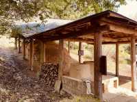 Mashiko (益子) – A Potter’s Paradise in Tochigi** 🏺🔥  