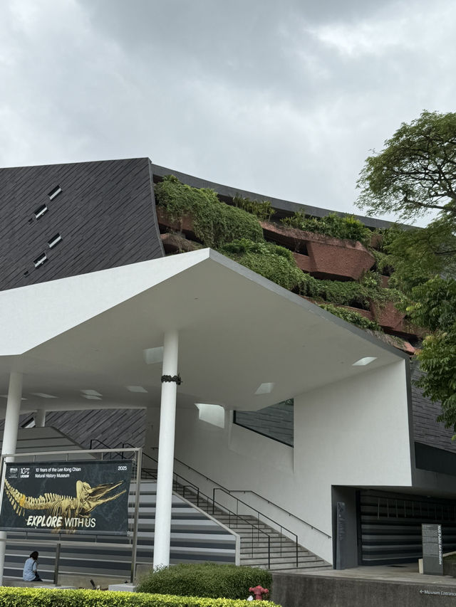 Whales, Fossils & Forest Walls – Where Nature Whispers Through Time 🌿 A Living Museum in a Garden