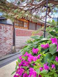 Bukchon Hanok Village: Time-Travel Through Seoul’s Most Photogenic Alleys"** 🏮🏡