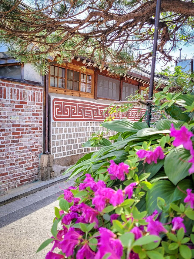 Bukchon Hanok Village: Time-Travel Through Seoul’s Most Photogenic Alleys"** 🏮🏡