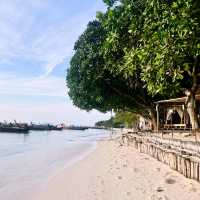 ดำน้ำลึกกับ Castaway Divers Koh Lipe