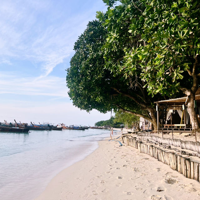 ดำน้ำลึกกับ Castaway Divers Koh Lipe