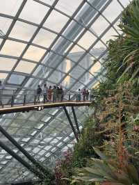 🌿 Cloud Forest — Singapore’s Climate-Controlled Paradise