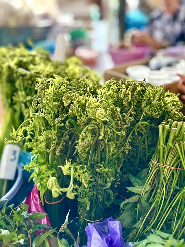 Pasar Tamu Miri – Where Sarawak Comes to Life!