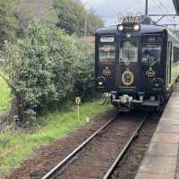 和歌山-貴志車站小玉列車