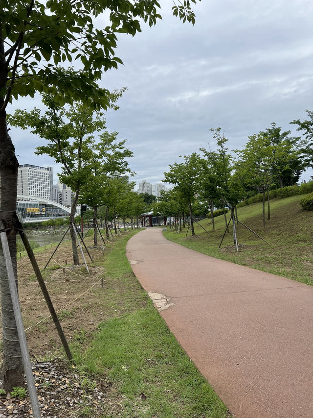 하남 미사호수공원의 풍경