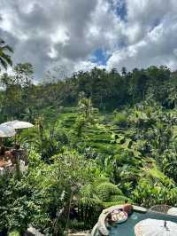 🇮🇩峇里島｜Tis Cafe解鎖德哥拉朗梯田的最舒服方式