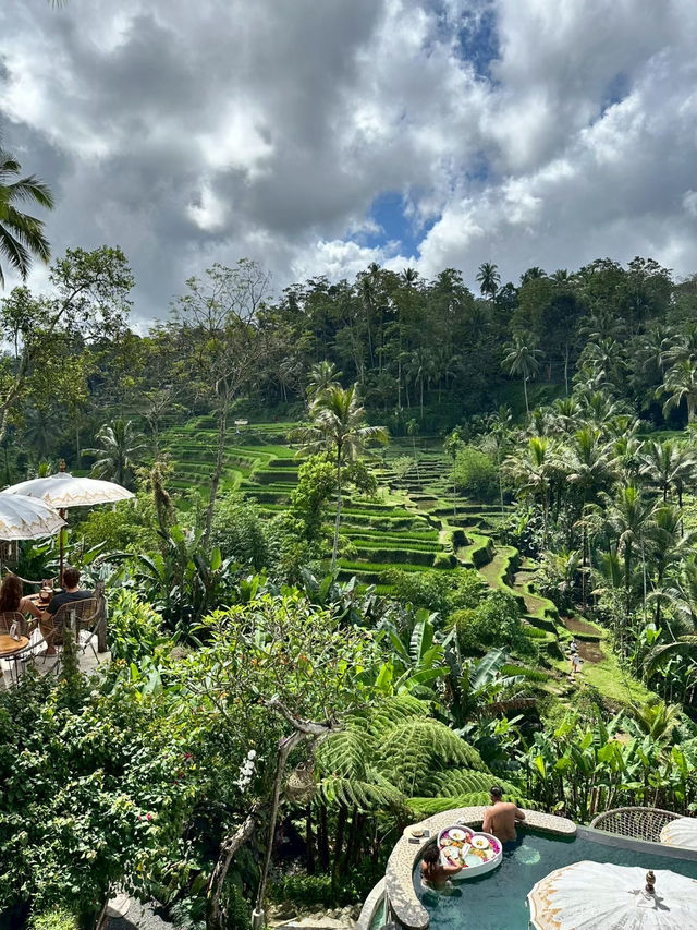 🇮🇩峇里島｜Tis Cafe解鎖德哥拉朗梯田的最舒服方式