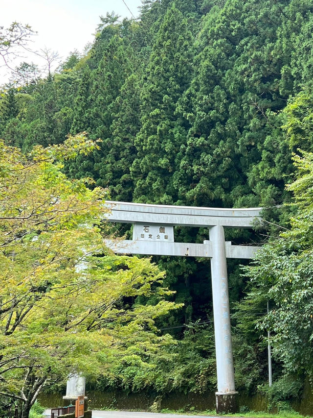 日本四國之旅 道後溫泉 島波海道 松山城