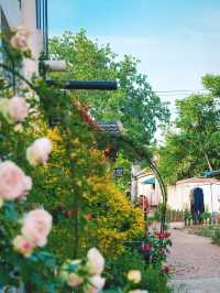Hefei’s Countryside “Monet Garden” | A Hidden Floral Wonderland 🌸🌾