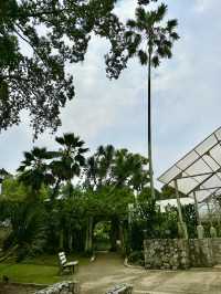 Beneath the Bloom: Discovering the Sunken Garden in Perdana