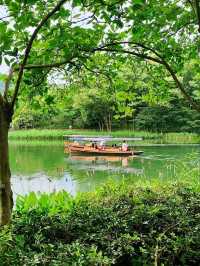 Wandering Through West Lake's Emerald Labyrinth