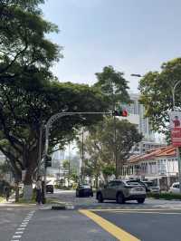 Wandering Through Everton Park: Where Roosters Roam And Shophouses Glow