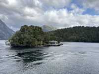 Doubtful Sound vs Milford Sound