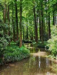 Skip the Crowds: Discover Quyuan Fenghe