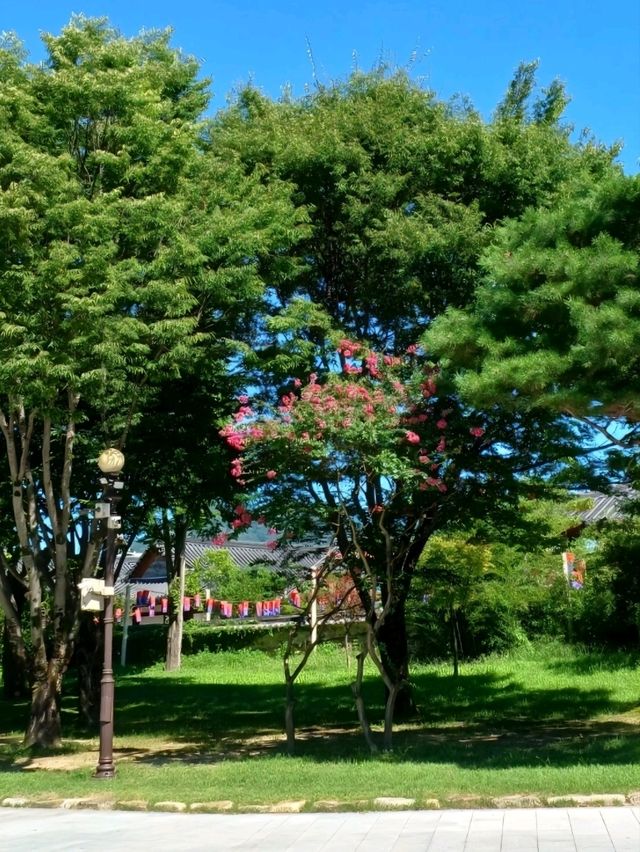 느긋한 시간 속 걷기, 광한루원의 여유 🌿