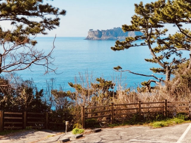 A Hidden Coastal Gem with Unique Basalt Cliffs