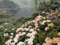🏔️ Let’s Go to Nanjiluo (南极洛) – Yunnan’s "Heavenly Lake Sanctuary