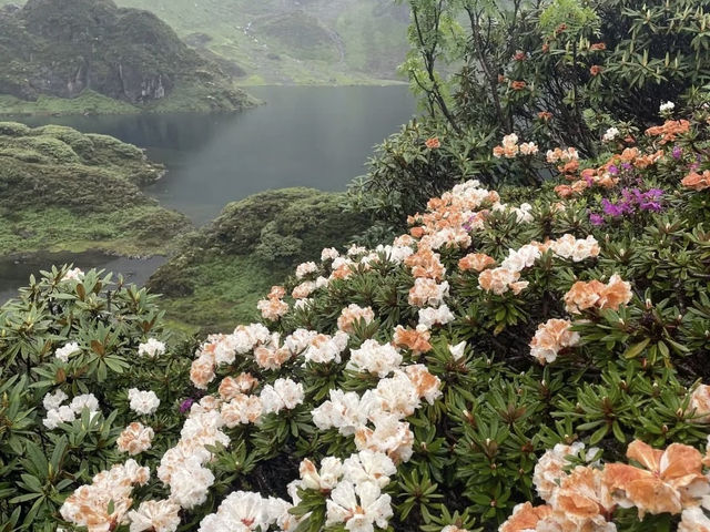 🏔️ Let’s Go to Nanjiluo (南极洛) – Yunnan’s "Heavenly Lake Sanctuary