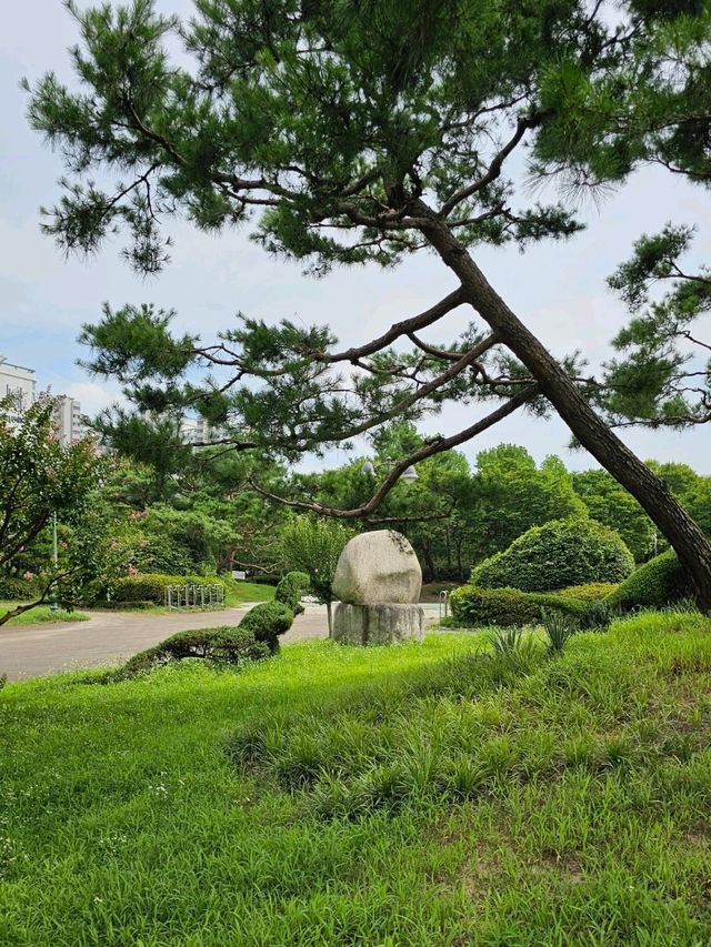 수원 압도적인곳 수원 압도적인곳