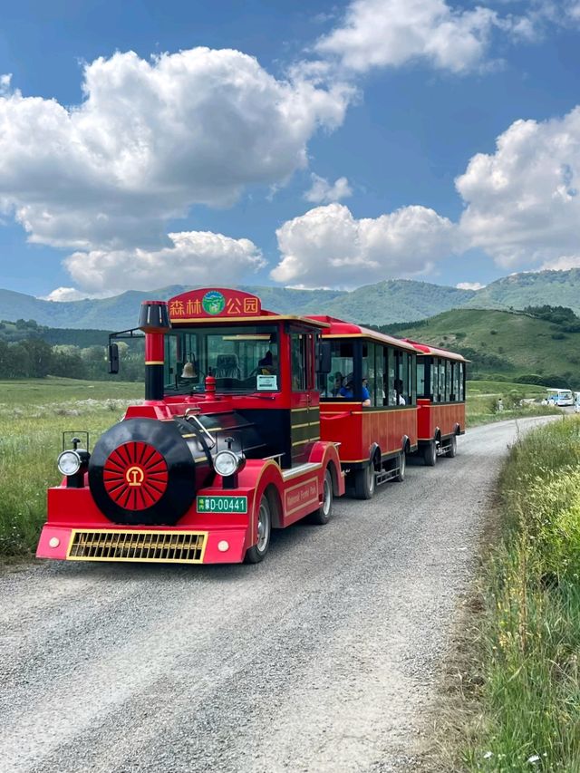 Hohhot Grasslands: Where Nature Rides Free Hohhot Grasslands: Where Nature Rides Free