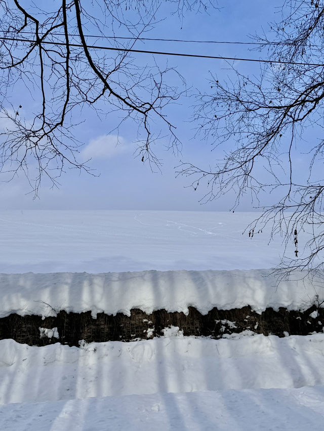 ❄️ 겨울 비에이 버스투어, 이건 꼭 가야 해! ❄️ 겨울 비에이 버스투어, 이건 꼭 가야 해!