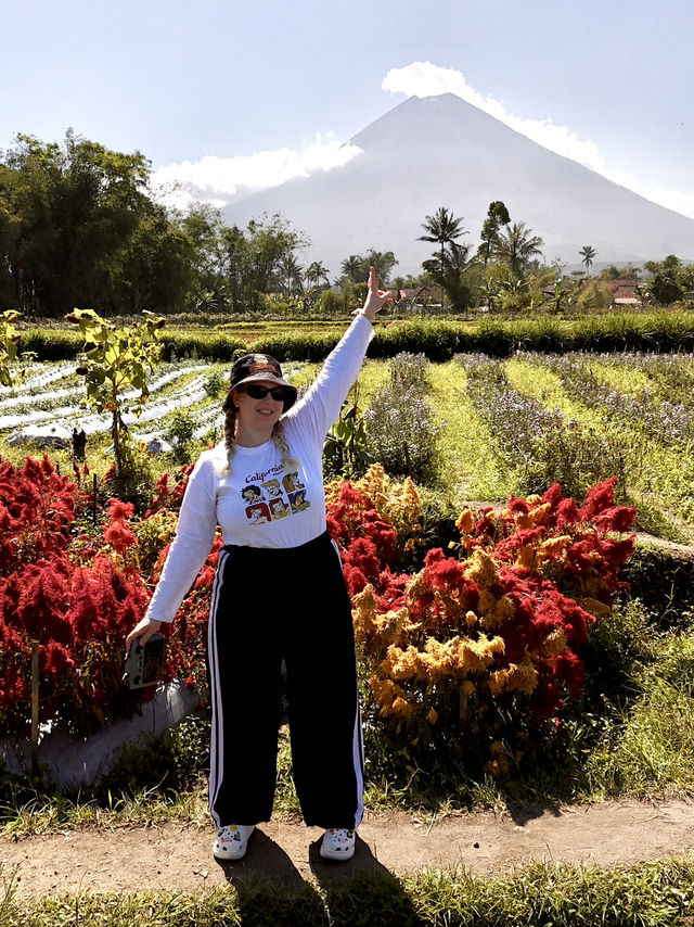 A trip around East Java 
