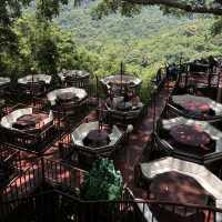 The Giant Chiangmai Thailand – ร้านกาแฟบนต้นไม้ใหญ่