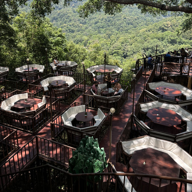 The Giant Chiangmai Thailand – ร้านกาแฟบนต้นไม้ใหญ่