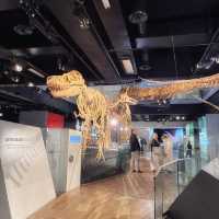 メルボルン博物館🦕