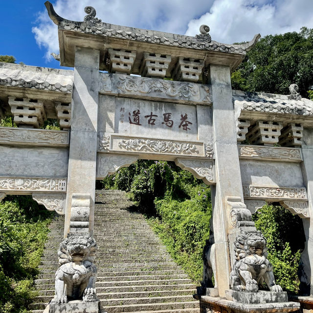【中国 雲南省】🌿 プーアール 茶馬古道景区