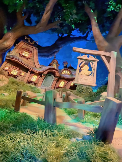 東京ディズニーシー】ラプンツェルのランタンフェスティバルで