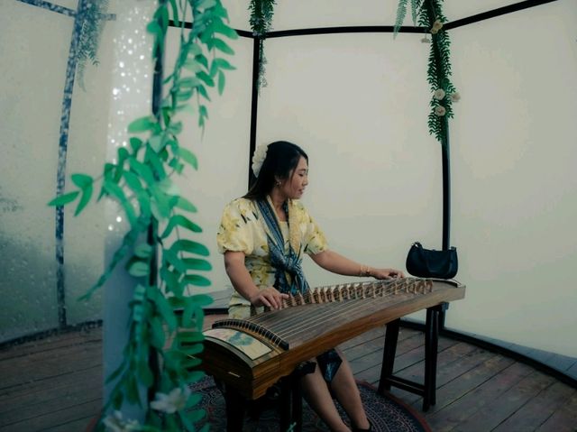 Moana Sapa Paradise | Vietnam🇻🇳 Moana Sapa Paradise | Vietnam🇻🇳