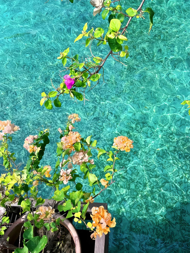 【仙本那｜碧海浮村的人間天堂】